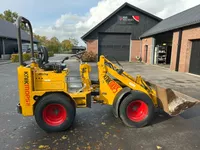 Knikmops 130 VERKOCHT Foto