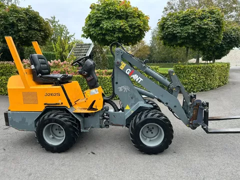 Giant D262S