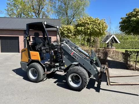 Giant V452T V 452 T